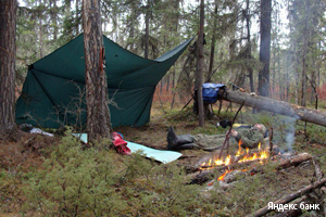 Отдых в лесу с палаткой