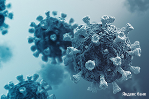Вирусы и эпидемии